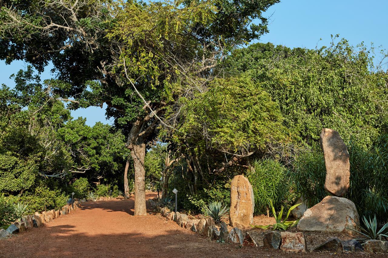 Wild Coast Tented Lodge Yala Exterior photo